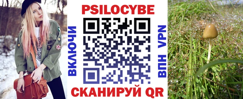 мега вход  где продают   Яранск  Галлюциногенные грибы Psilocybe 