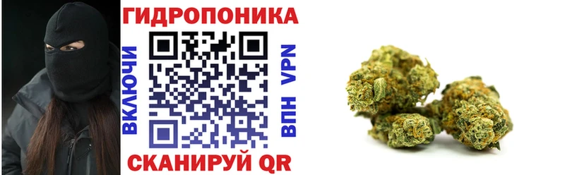 где найти Яранск мориарти какой сайт Бошки Шишки ГИДРОПОН